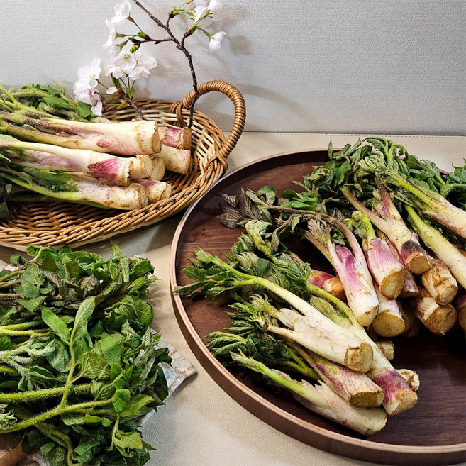 [제철초특가] 100박스한정 산지직송 자연산 땅두릅, 1박스, 300g