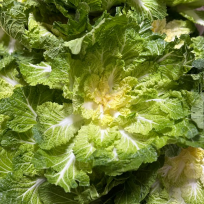 [화제의 봄동비빔밥] 국내산 산지직송 특상품 제철 봄동, 1박스, 3kg