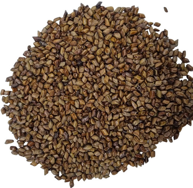 엄선한 국내산 결명자(400g), 400g, 1개