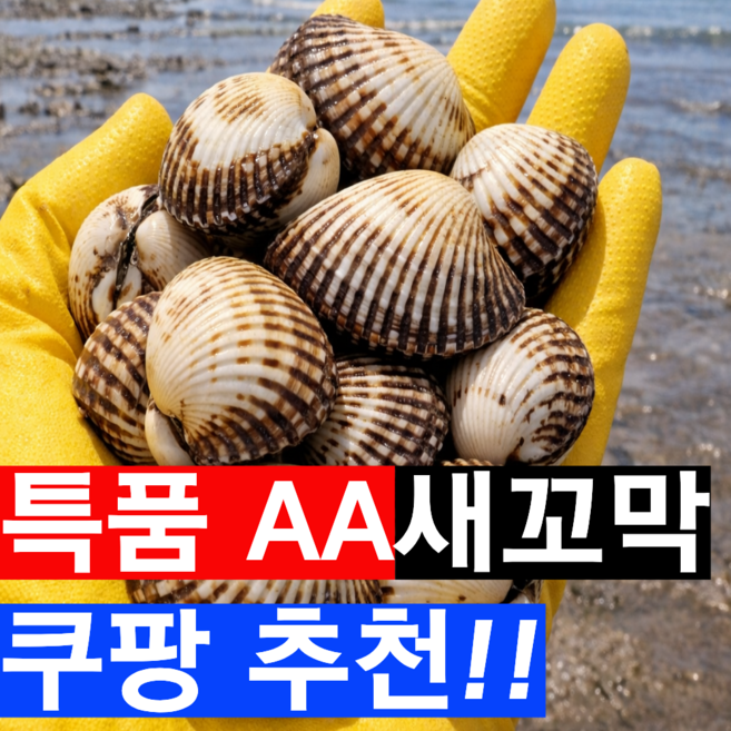 [초대박깜짝특가] 특등급A급 벌교 꼬막 새꼬막, 1박스, 2kg(특등급)