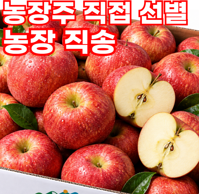 [26년햇사과] 국내산 부사 사과 산지직송, 1박스, 3kg