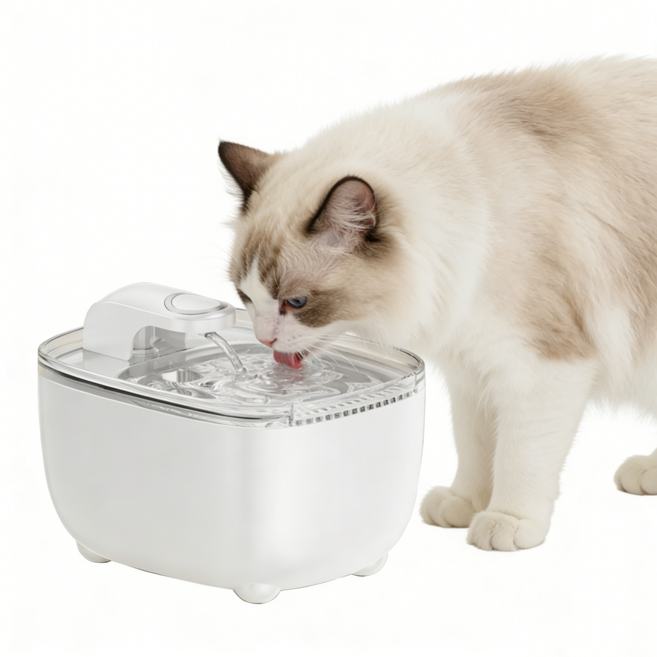 PYHO 저소음 고양이 급수기 2.5L 대용량 정수 필터 강아지 자동 급수기, 1개, 흰색
