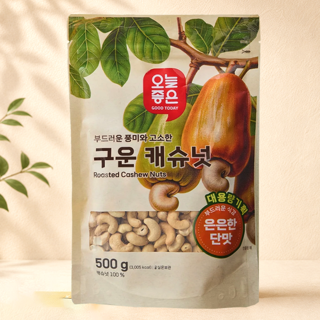 오늘좋은 구운 캐슈넛 대용량기획 (500G), 4개, 500g