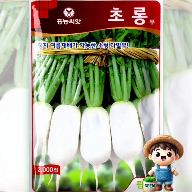 팜한농 초롱무 2000립 소형다발 동치미 가을 김장 건강 텃밭 쌈 채소 씨앗 종자 팜한농, 1개