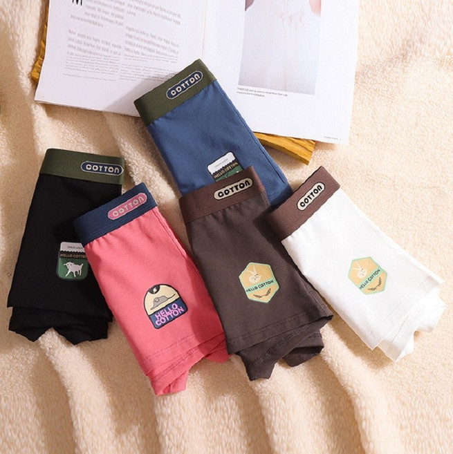 여성 면 사각 팬티 5종세트 네모 복서 드로즈