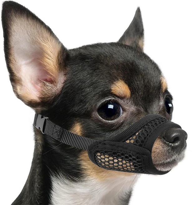 포메라니안과 같은 짧은 코 품종에 이상적인 입마개로 소형견이나 중형견이 물어뜯는 것을 방지하세요, 1. Black, D. S, 블랙, 1개
