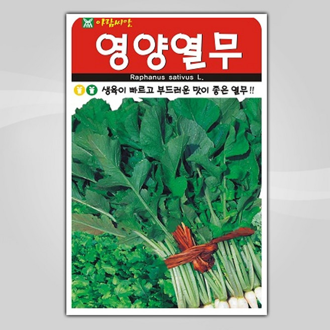 슬로시 김장채소 씨앗 종자 배추 무 갓 양파 시금치 알타리 당근 대파, 무씨앗, 10 영양열무 20g, 1개