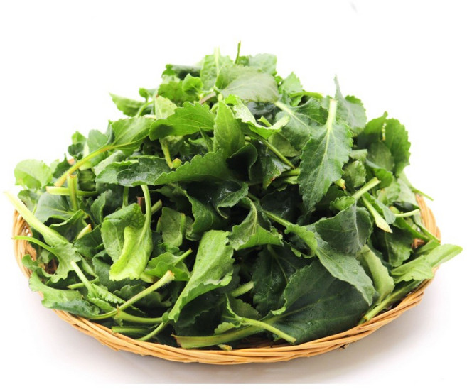 국내산 생 취나물 산나물 산지직송, 1개, 4kg