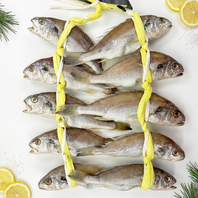 해물총각 영광 백굴비, 1개, 1.8kg (10미)