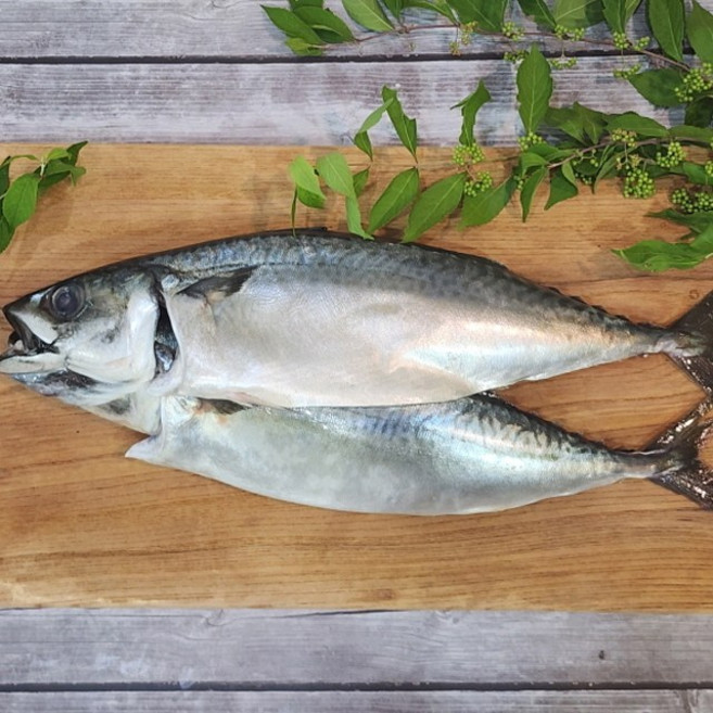 부산 특대 자반고등어 2미 38cm 내외, 상세 설명 참조