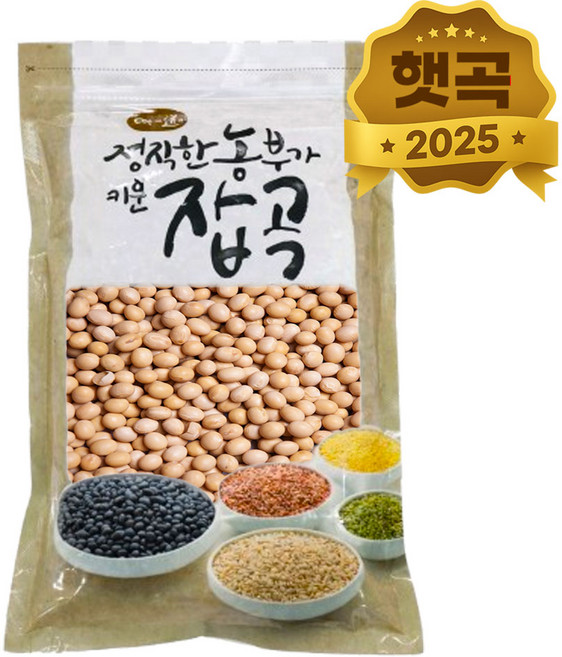 천일공작소 국산 햇 백태 메주콩 노란콩 대두콩, 1kg, 1개