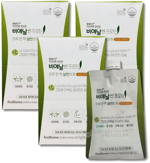 비에날씬 BNR17 [본사출고] 프로틴, 200g, 3개