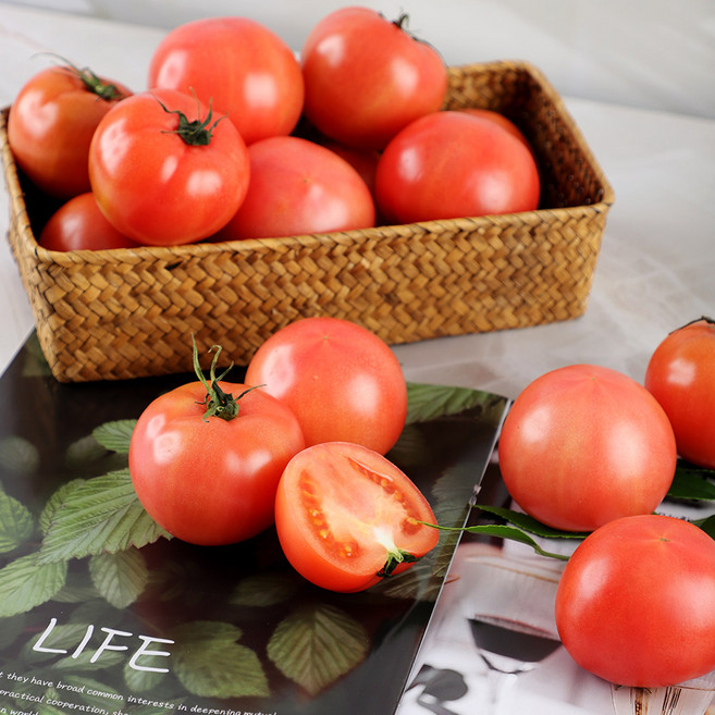 때깔찬 제철과일 토마토 완숙토마토 5kg, 1개, 5kg (크기랜덤) 토마토