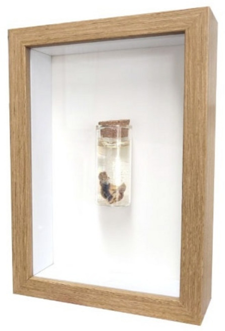 탯줄 보관 DIY 액자 세트, 1세트