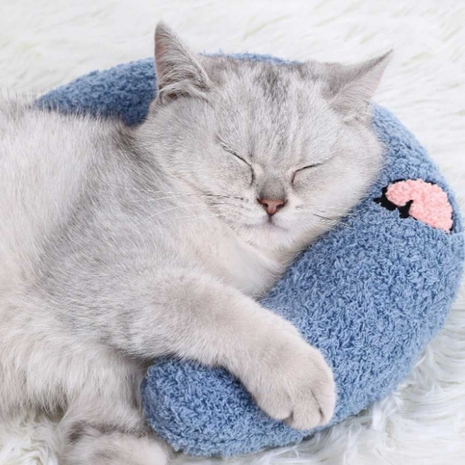 반려동물 머리쿠션 고양이 강아지 베개 반달모양 받침 소파 매트 유모차 애견 집 베개 쇼파 강아지 바나나 dew+127yW, 화이트_ONESIZE
