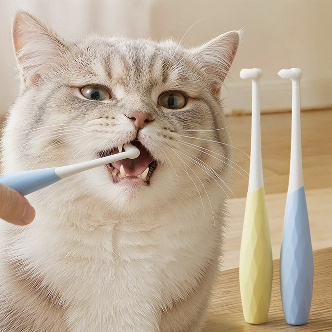 강아지 칫솔 고양이 칫솔 어금니칫솔 극세사모, 2개, 조합