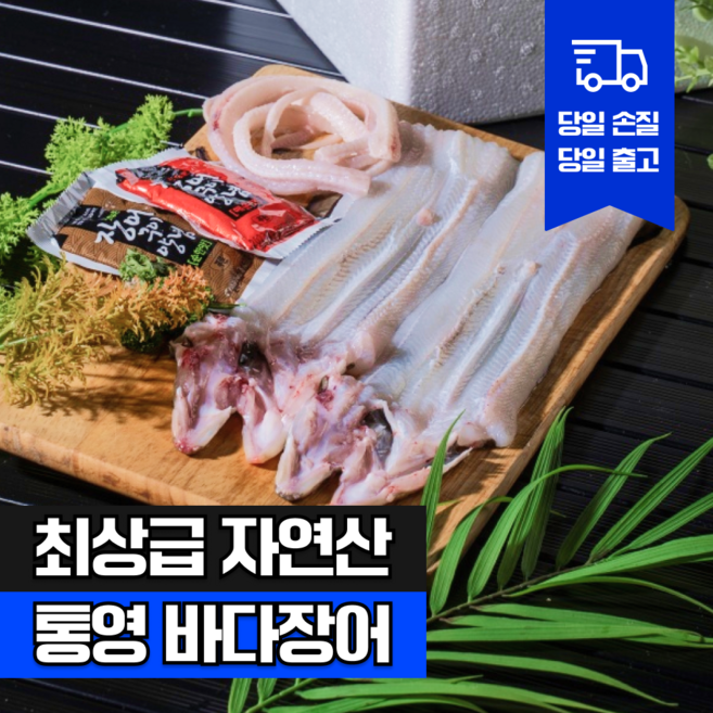 [참참밥상] 통영 자연산 특대 손질 바다장어 붕장어 아나고 산지직송 장어구이 보양식 추천, 1개, 5kg (약 5~20미)