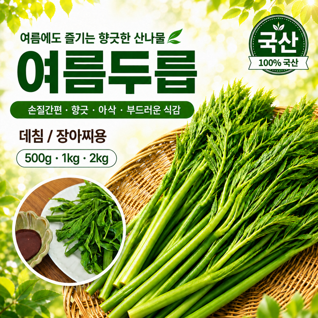 여름두릅 생두릅 데침 장아찌용 신선두릅, 1개, 2kg