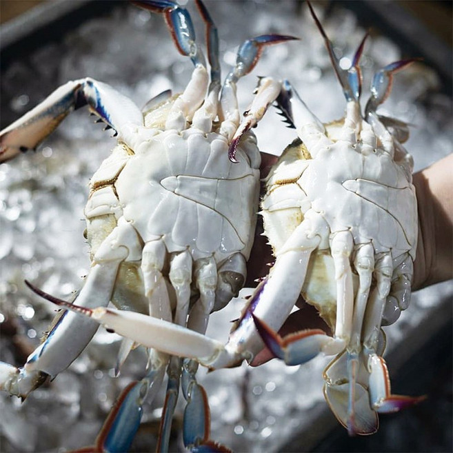 품질선별출고 당일조업 서해안 활꽃게 알배기 암꽃게 숫꽃게 국산냉동꽃게, 1개, [생물특가]활 대짜 암꽃게1kg(3-4미)