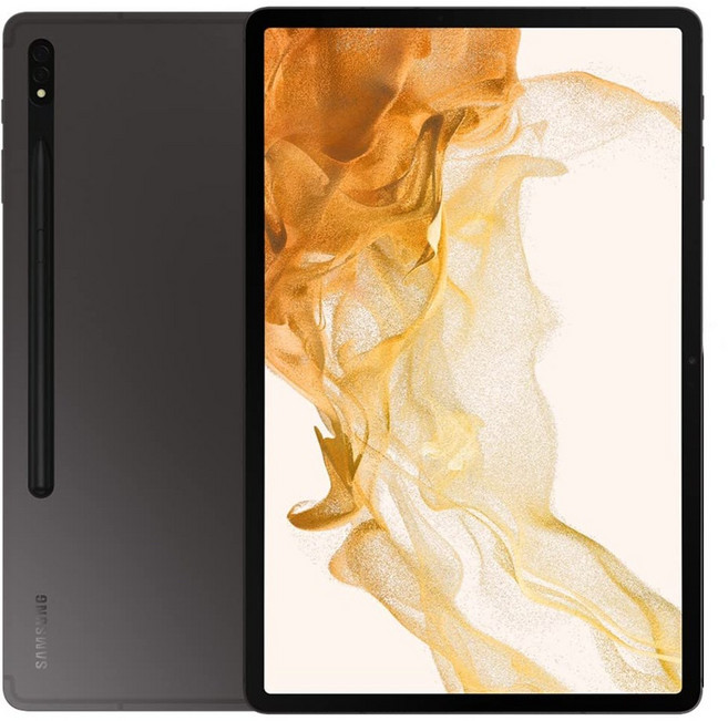 삼성전자 갤럭시탭 S8 플러스 SM-X800, 그라파이트, 256GB, Wi-Fi