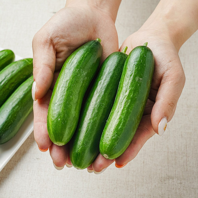 미니오이 스낵오이 피클용오이 1kg, 1개, 스낵오이 1kg