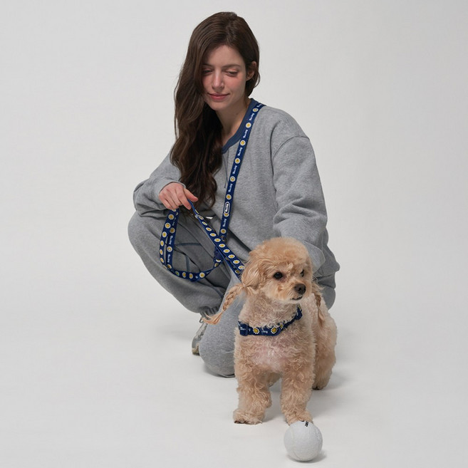 베일리펫 핸즈프리 강아지 리드줄 2.5M 길이조절 산책줄, 1개, 네이비