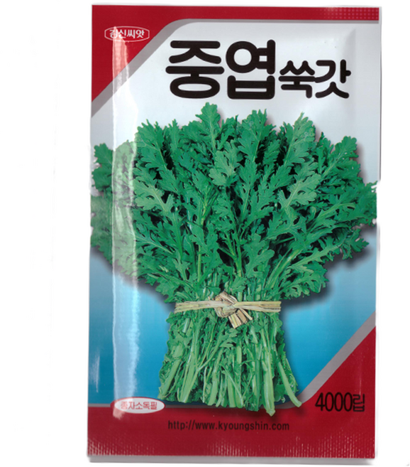 경신 중엽 쑥갓 씨앗 4000립, 1개