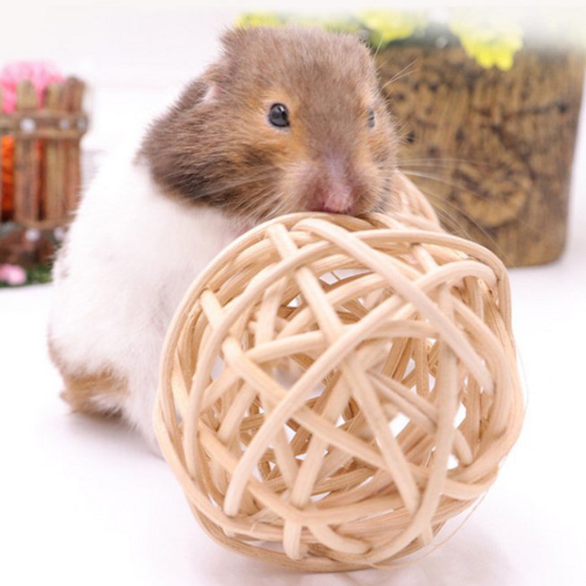 행복햄 등나무 공 햄스터 노즈워크 장난감 이갈이, 2개