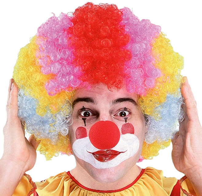 피플스파티 점보가발 파티가발, 1개, 혼합