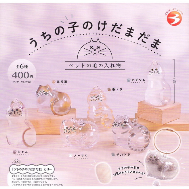 優選秘藏Gacha 我家毛孩 透明吊飾 貓毛收集 寵物紀念品 客製化吊飾, 1個, 全套六款(數量按6)