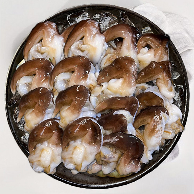 [여수직송] 쫄깃한 새조개 당일새벽조업, 1개, 600g