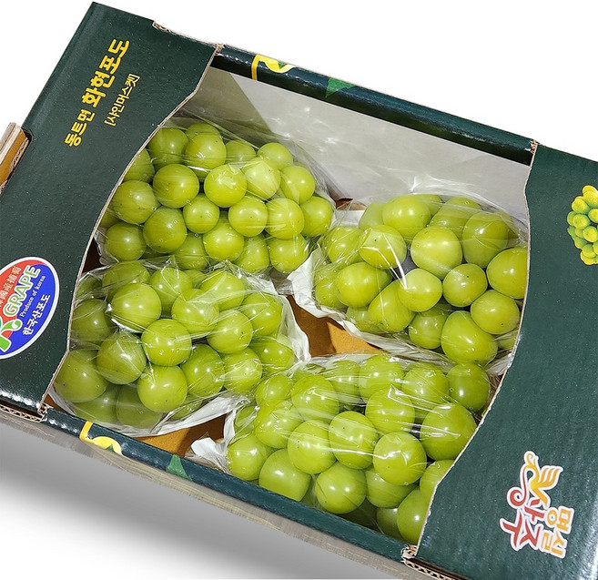 [산지직송] 최대 20brix 고당도 샤인머스캣 프리미엄 망고포도, 1박스, 특품 샤인머스켓 2kg (2-3수)