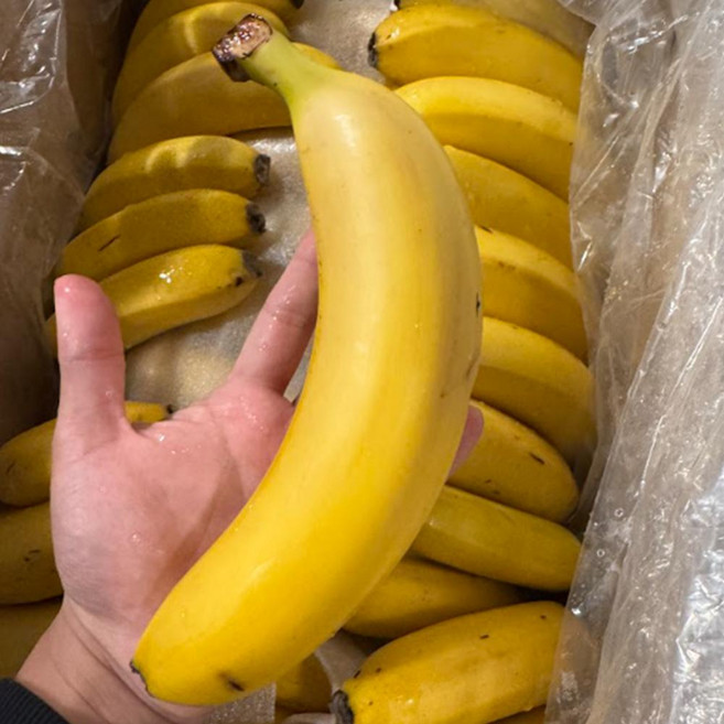 쥬스용 낱발 고당도 실속형 바나나 6kg 내외, 1박스