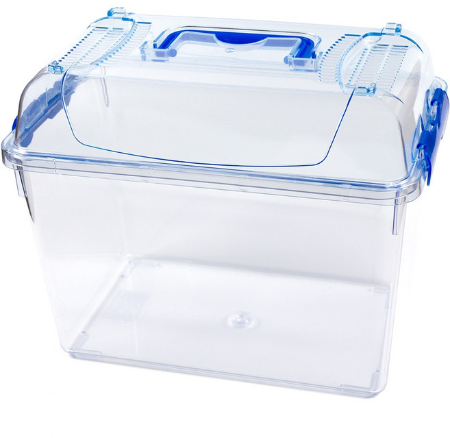 클린케이스 사육통 대 (사슴벌레 장수풍뎅이 곤충 파충류 양서류 절지류 채집통) - 꿈도미, 1개