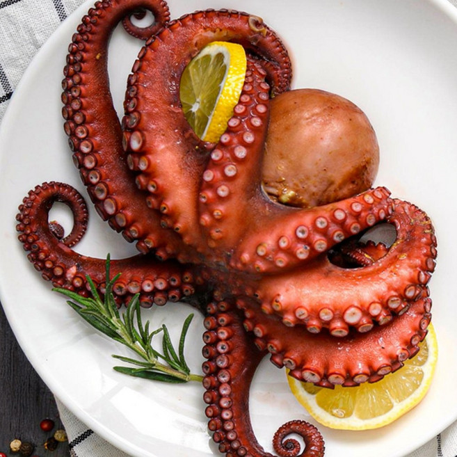 백년본가 살아있는 남해 자연산 돌문어, 1개, 1kg (2~4미)