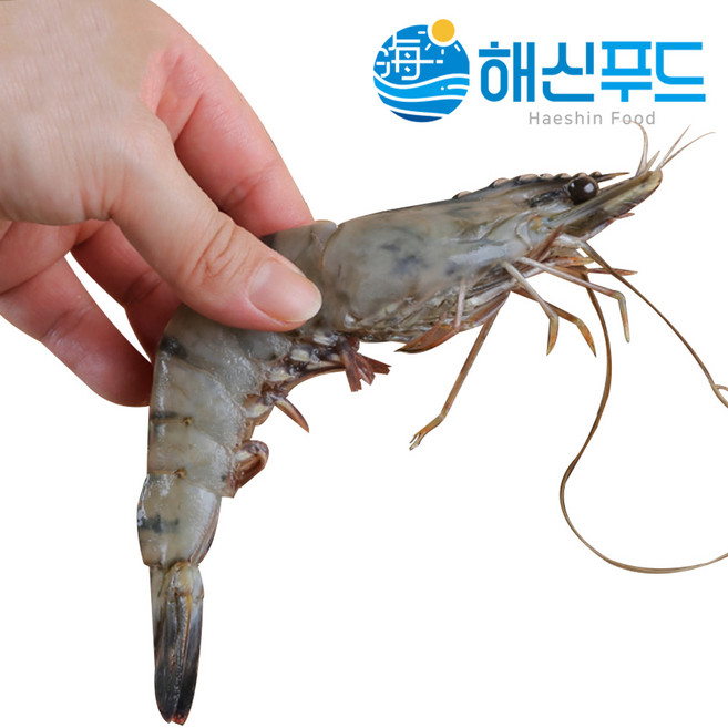 얼룩새우 블랙타이거새우 냉동 대하 왕새우, 블랙타이거 얼룩새우 500g 15미, 1개