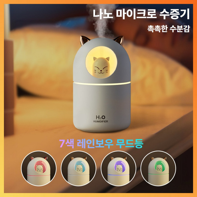 퓨어비 안개분사 미니가습기 휴대용 사무실, 민트