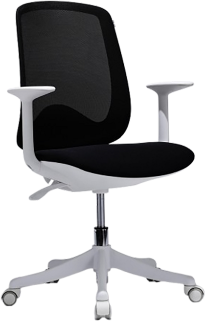 바이타 라빈스 LAVINS 책상 컴퓨터 사무용 학생 허리편한 수납 의자 4colors, 돌핀 블랙