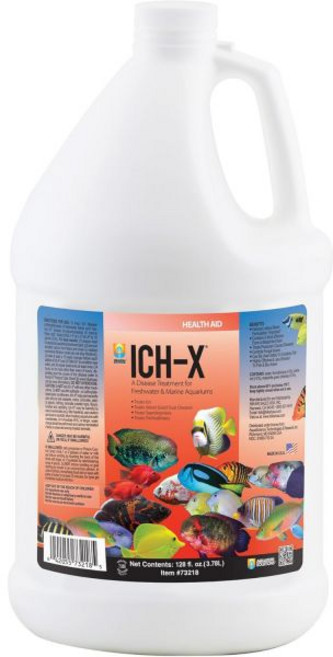 히카리 이치X 이치 트리트먼트 1갤런