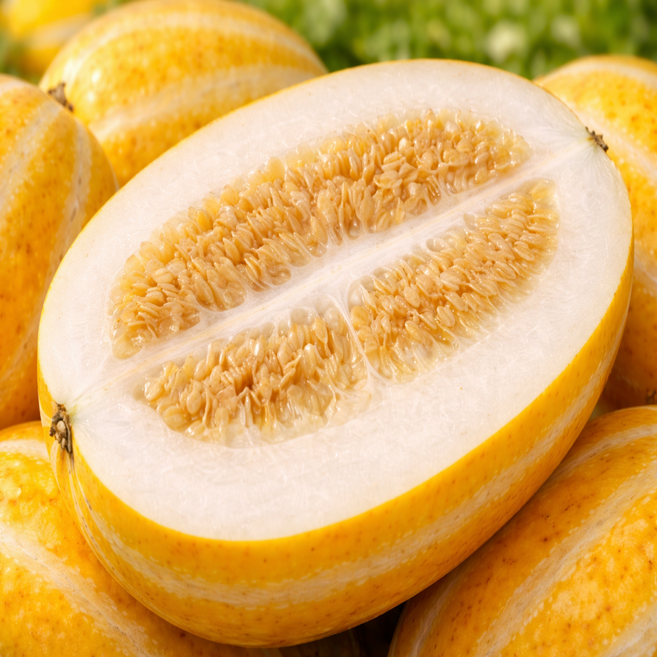 [100박스한정판매] 초고당도 성주참외 꿀 참외, 1박스, 1kg