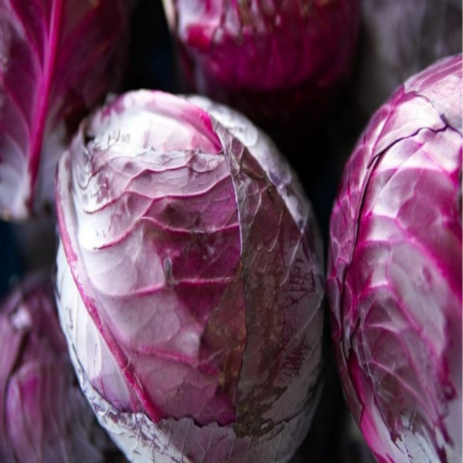 친환경 적채 적양배추 샐러드용 국내산 채소, 1개, 3kg