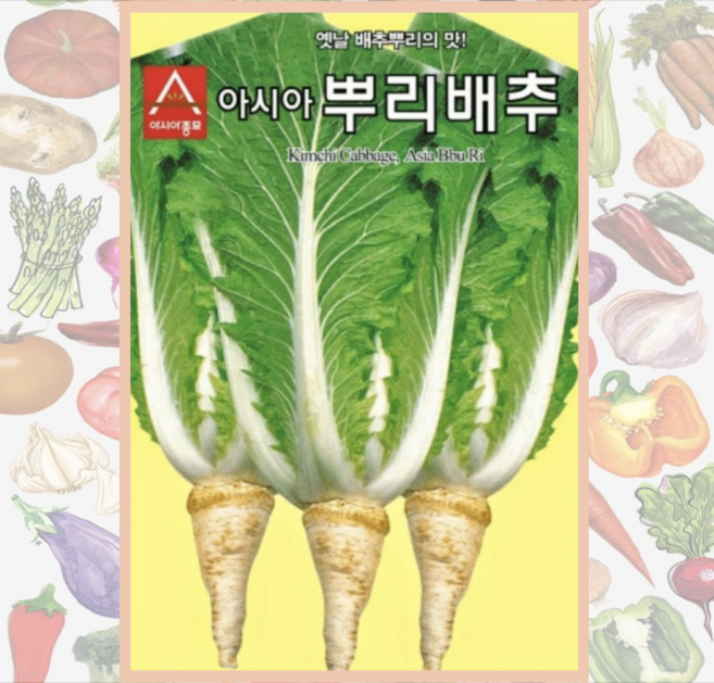 아시아종묘 아시아뿌리배추 씨앗 2000립, 1개