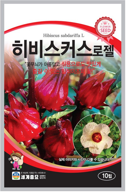 히비스커스로젤 씨앗 10립 세계종묘 꽃씨앗 야생화 종자 식용꽃씨앗, 1개