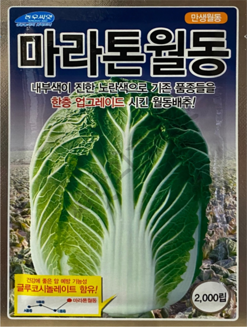 마라톤 월동 배추씨앗 2000립 CR계 뿌리혹병 글루코시놀레이트 겨울배추종자 농우바이오, 1개