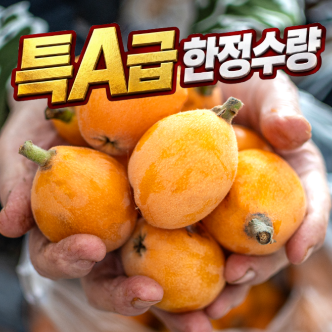 3위 - [특A급한정수량] 국내산 생 비파 열매, 1박스, 2kg(소과)