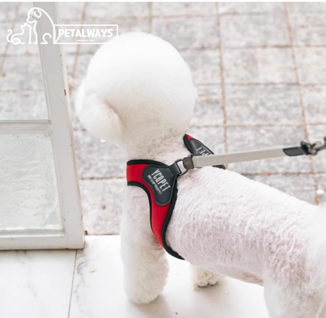 펫올웨이즈 기본형 통풍 강아지 하네스 리드줄 세트, 레드