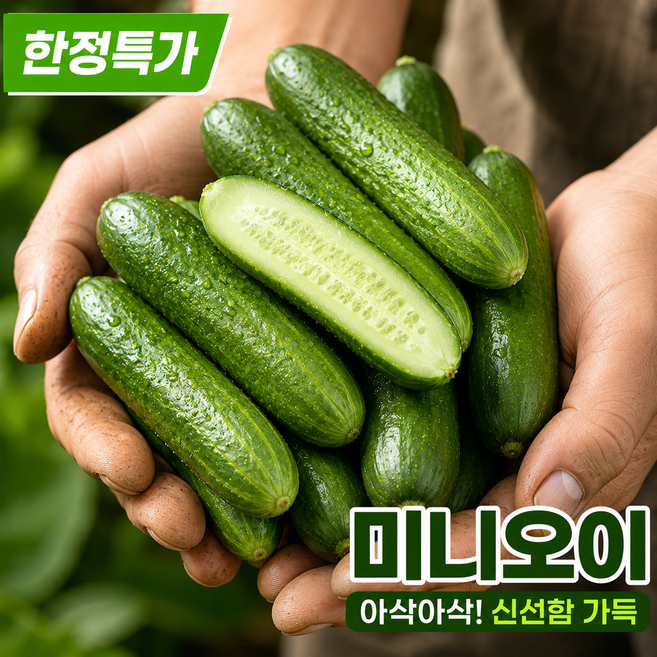 국내산 미니오이 1위 당일수확 농장직접배송 스낵오이, 1개, 2kg (32과내외)