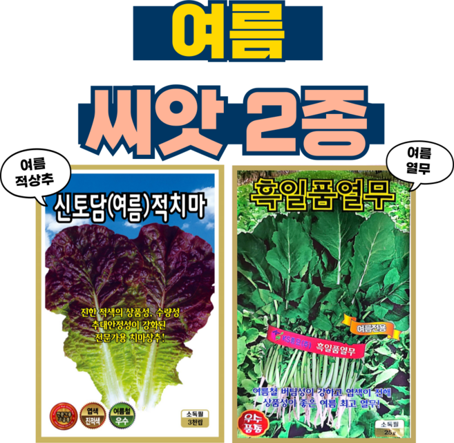 여름 씨앗2종 적상추+열무 고온기 텃밭 종자, 2개