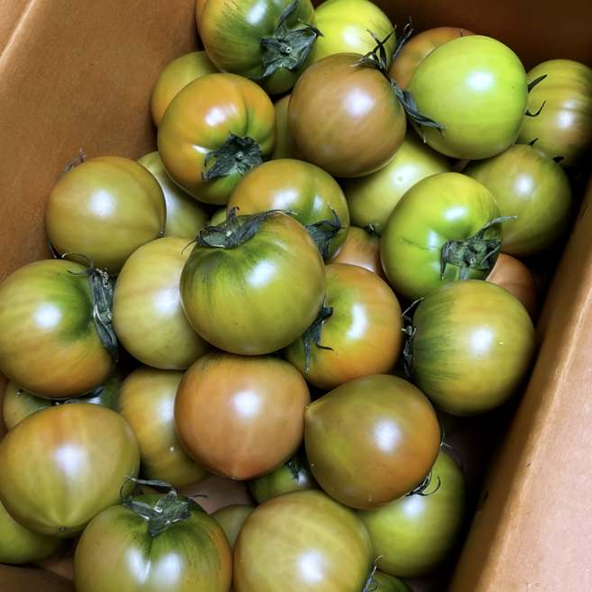 초고당도 단짠단짠 부산 대저토마토 찰토마토, 1개, S 2.5kg