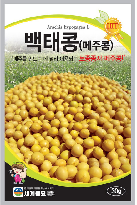 백태콩 30g 씨앗 세계, 1개